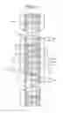 Fig. 07 - Molded surface fastener