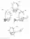 Fig. 02 - Convertible Earrings for Pierced Ears