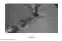 Fig. 06 - Broadband electromechanical spectroscopy