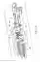 Fig. 05 - Pivot structure