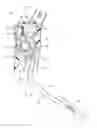 Fig. 01 - Accelerator device