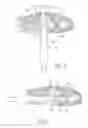 Fig. 07 - Adjustable driving tool