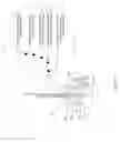 Fig. 08 - Illuminated potentiometer assembly