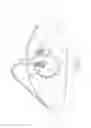 Fig. 02 - Printing blanket with non-extensible backing mountable in a single reel rod lock-up