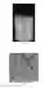 Fig. 02 - Method for preparing cellulose nanofiber capable of being stably dispersed