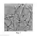 Fig. 03 - Method for preparing cellulose nanofiber capable of being stably dispersed