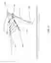 Fig. 16 - Watercraft immobilizing apparatus and system
