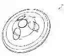Fig. 01 - SYSTEM FOR TRAINING AN ANIMAL