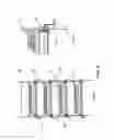 Fig. 04 - Portable basket colony for growing and transport and method of use