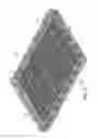 Fig. 28 - Portable basket colony for growing and transport and method of use