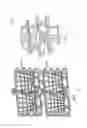 Fig. 41 - Portable basket colony for growing and transport and method of use