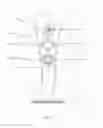 Fig. 03 - Animal deterrent device