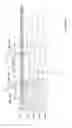 Fig. 09 - Method for estimating the angular position of a crankshaft for accelerating the starting of an internal combustion engine