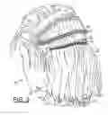 Fig. 06 - Self administrable hair extension system and method