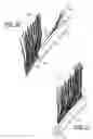 Fig. 09 - Self administrable hair extension system and method