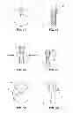 Fig. 02 - Perfume dispenser and applicator package and method for using the package