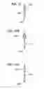 Fig. 49 - Device with penetrable and resealable portion and related method