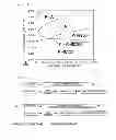 Fig. 02 - Stainless steel and method for manufacturing same