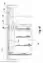 Fig. 10 - Roll-up retractable covering for architectural openings