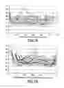 Fig. 07 - Paper substrates containing high surface sizing and low internal sizing and having high dimensional stability