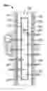 Fig. 01 - Controlling pressure during perforating operations