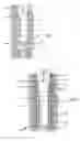 Fig. 02 - APPLYING WELLBORE LINING