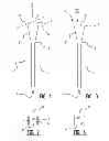Fig. 02 - NAIL FOR A HORSE SHOE