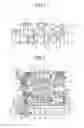 Fig. 02 - Automatic transmission for vehicle