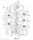 Fig. 06 - Plasma whirl reactor apparatus and methods of use