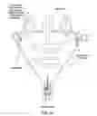 Fig. 09 - Plasma whirl reactor apparatus and methods of use