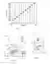 Fig. 03 - Electrostatic system and method of sorting plastics