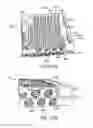 Fig. 196 - BLOOD TREATMENT SYSTEMS AND METHODS