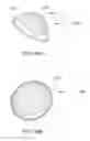 Fig. 228 - BLOOD TREATMENT SYSTEMS AND METHODS