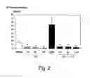 Fig. 03 - Selective chemokine modulation