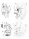 Fig. 08 - Apparatus for the delivery of fluid products