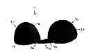 Fig. 01 - Garment holding and shape saving apparatus