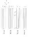 Fig. 06 - Card and card manufacturing method