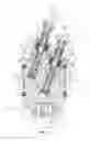Fig. 04 - DUAL SOLENOID DUAL ANGLE ENTRY MULTI-PHYSICS FUEL ATOMIZER
