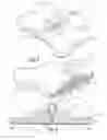 Fig. 02 - HOLDER FOR A PET TOY