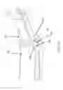 Fig. 19 - Adjustable hanger bar for luminaires