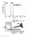 Fig. 04 - Low temperature plasma probe and methods of use thereof