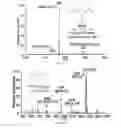 Fig. 06 - Low temperature plasma probe and methods of use thereof