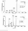 Fig. 07 - Low temperature plasma probe and methods of use thereof