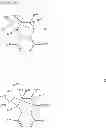 Fig. 48 - POLYMERS CONTAINING THERMALLY DISSOCIABLE AND SOLUBLE GROUPS AND THE USE OF SUCH POLYMERS AS ORGANIC ELECTROLUMINESCENT MATERIALS