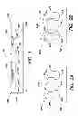 Fig. 02 - Methods and devices for enhancing mobility of charge carriers