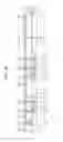 Fig. 07 - Semiconductor device