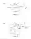 Fig. 08 - Chip and manufacturing method thereof