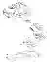 Fig. 01 - Device for adjusting the position of the boot support holder in a ski fastening system