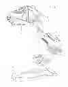 Fig. 02 - Device for adjusting the position of the boot support holder in a ski fastening system