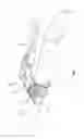 Fig. 03 - Bicycle suspension system